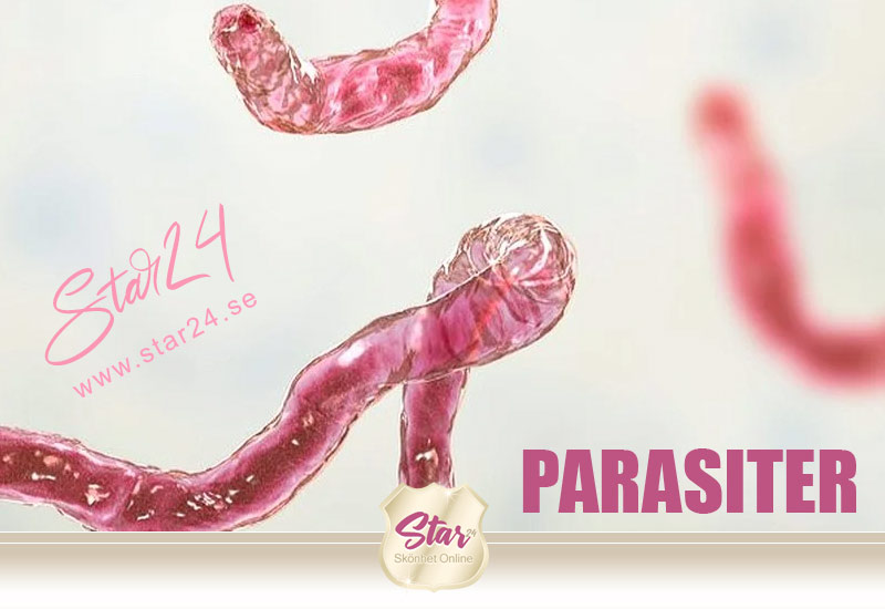  Bild, Parasiter